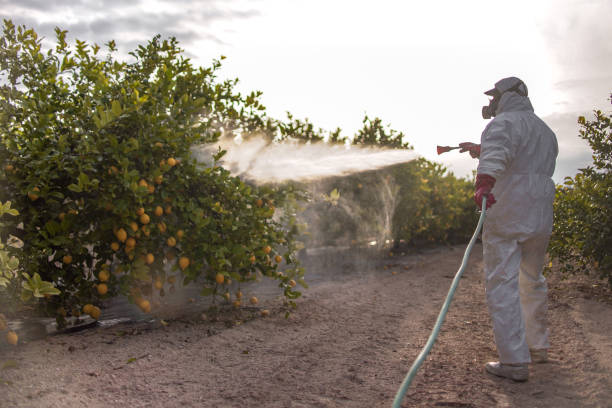 Outdoor Pest Control in Beardstown, IL